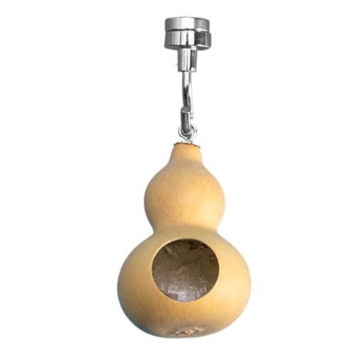 Sprungspinnengehäuse - Magnet Lock Pod, Tiny Spider Box | Klarer Betrachtungsspinnengehäuse, Mit Natursthema Mit Barsch Für Gruselige Haustierspinnen, Die In Schränkenpanzern Ausstellen Oder Zu Sprungspinnengehäuse - Magnet Lock Pod, Tiny Spider Box | Klarer Betrachtungsspinnengehäuse, Mit Natursthema Mit Barsch Für Gruselige Haustierspinnen, Die In Schränkenpanzern Ausstellen Oder Zu von Nixiara