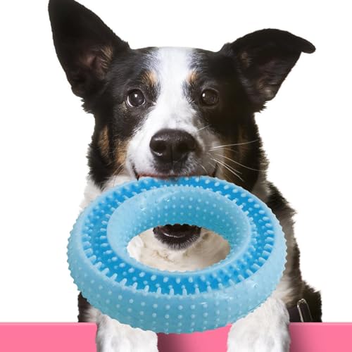 Welpenspielzeug zum Zahnen, Kauspielzeug für Hunde für Welpen | Süßes Kauspielzeug für Hunde, Welpen-Beißring | Hunde-Puzzlespielzeug, Zahnreinigungsspielzeug, interaktives Hundespielzeug zum Training von Nixieen