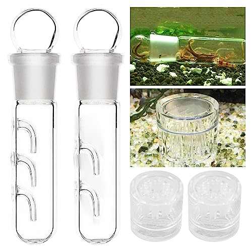 4 Stück Planarienfalle Schneckenfalle Aquarium: 2 Loch 3 Loch Glas Planaria Trap, 8 Löcher Acryl Aquarium Falle, Planarienfalle für Fangen von Planarien, Schnecken, Blutegeln im Aquarium (Transparent) von Nizirioo