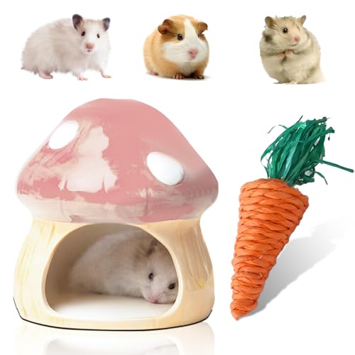 Nizirioo Einzigartige Hamster Haus Keramik: Durable Hamster Versteck, Hamsterhaus und Zahnspielzeug Tunnel in Pilzförmiges Großen Eingängen für Rennmäuse, Mäuse,Chinchillas Hamsterversteck (Rosa) von Nizirioo