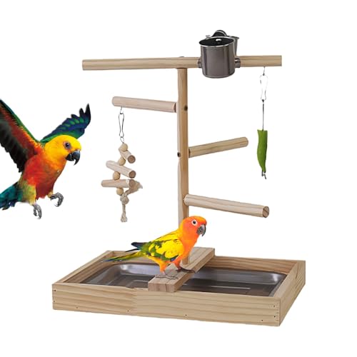 Bird Playground with Tray and Cups - Bird Play Gym Playpen for Cockatiels and Parakeets | Perch Stand Bird Cage Accessories, Stimulating Toys for Birds to Climb, Play, and Stay Engaged von Nkmujil