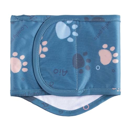 Dog Diapers, Washable Male Dogs Belly Band, Waterproof Reusable Pet Pants, Soft Belly Wrap Protection, Ideal for Small Dogs, Usage Scenario Potty Training Indoor and Outdoor Dog Diapers, Washable Male Dogs Belly Band, Waterproof Reusable Pet Pants, Soft Belly Wrap Protection, Ideal for Small Dogs, Usage Scenario Potty Training Indoor and Outdoor von Nkmujil