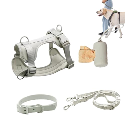 Hundegeschirr-Set für kleine Hunde, kein Ziehen, Hundegeschirr für mittelgroße Hunde, kleines Haustiergeschirr, Halsband und Leine, kein Ziehen, verstellbare Hundeweste, Geschirre mit Kotbeutelhalter von Nkmujil