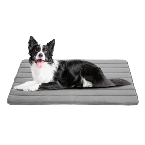 Kühlmatte für Haustiere, waschbare Käfigpolster, atmungsaktive Komfortschicht, rutschfeste Unterseite mit Kühlkissen für Hunde und Katzen, für drinnen und draußen, für den Sommer, Grau Kühlmatte für Haustiere, waschbare Käfigpolster, atmungsaktive Komfortschicht, rutschfeste Unterseite mit Kühlkissen für Hunde und Katzen, für drinnen und draußen, für den Sommer, Grau von Nkmujil