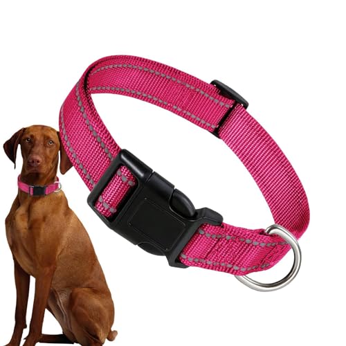 Reflektierendes Hundehalsband – Komfort-Halsband für Hunde, atmungsaktiv, bequem, Nylon, Katzenhalsband, atmungsaktiv für verschiedene Katzen von Nkmujil