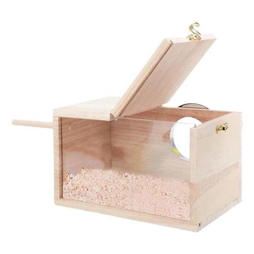 Sittich-Nistkasten, Nymphensittiche Brutkasten, Sittiche Vogelhaus, transparentes Vogelhaus, Nymphensittich-Nistkasten aus Holz, Nymphensittich-Nistkasten Naturholz, klare Seiten Vogelhaus für kleine von Nkmujil