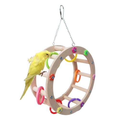 Vogelspielzeug Riesenrad | Buntes Vogelschaukelspielzeug für Vogelsitzstangen - Vogelzubehör, Vogelkäfig-Zubehör, Vogelsitzspielzeug, Vogelkletterspielzeug für Papageien, Spatzen, Sittiche von Nkmujil