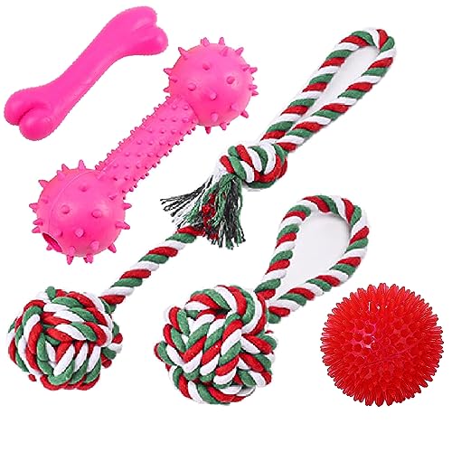 Nlmskzzy Hundespielzeug, Kauspielzeug, Quietschspielzeug, Plüschspielzeug für Hunde, 20 Stück, für Spaß und Zahnreinigung, Seilspielzeug für mittelgroße bis kleine Hunde (5er-Pack) von Nlmskzzy
