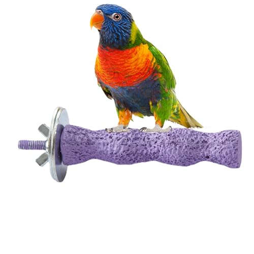 Natürliches Papageienspielzeug Molar Kaustein Vogel Calcium Ständer Nymphensittich Kauspielzeug Grobstab Sittich Fuß Spielzeug Conure Molar Sittich Kauständer Schleifstab Spielzeug Calcium von Nlrlo