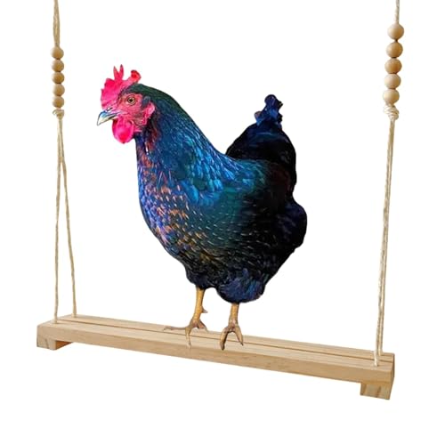 chicken swing toys wooden chicken stand rooster swing chicken coop swing poultry nutrition strengthening toy wooden rooster swing chicken swing toy chicken enrichment swing pet chicken toy chicken toy von Nlrlo