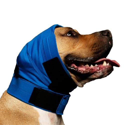 No Flap Ear Wrap (Xklein, Blau) von No Flap