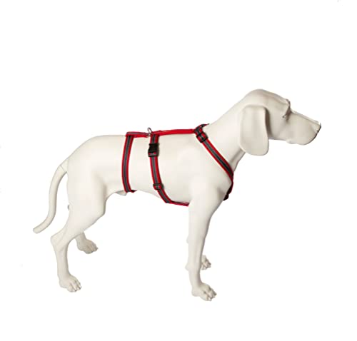 No Exit ausbruchsicheres Hundegeschirr für Angsthund, Sicherheitsgeschirr für Pflegehunde, Panikgeschirr, Soft Grip, Bauchumfang 40-60 cm, 15 mm Bandbreite, rot/Silber von NoExit Hundegeschirr