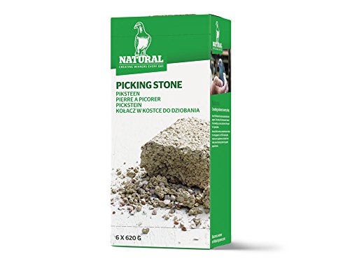 Natural Pickstein 6er-Pack, 620 g von Nobby