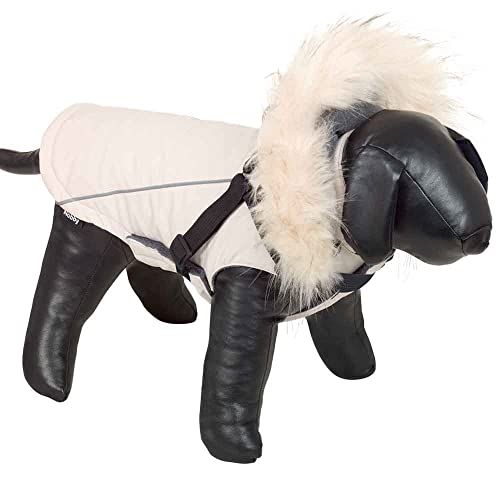 Nobby Hundemantel MILY 2 in 1, cream, 26 cm, 1 Stück von Nobby