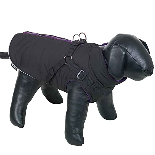 Nobby Hundemantel SOBAK 2 in 1, schwarz-lila, 36 cm, 1 Stück von Nobby