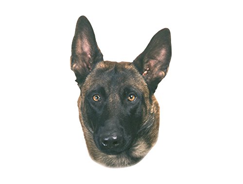 Nobby Aufkleber Malinois gelb 12 x 3,5 cm von Nobby