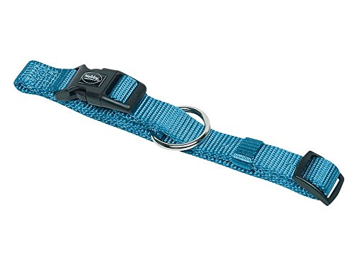 Nobby Halsband Classic, hellblau L: 13-20 cm, B: 10 mm, 1 Stück von Nobby