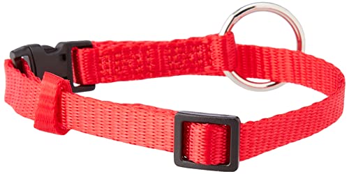 Nobby Halsband Classic, rot L: 20-35 cm, B: 10 mm, 1 Stück von Nobby