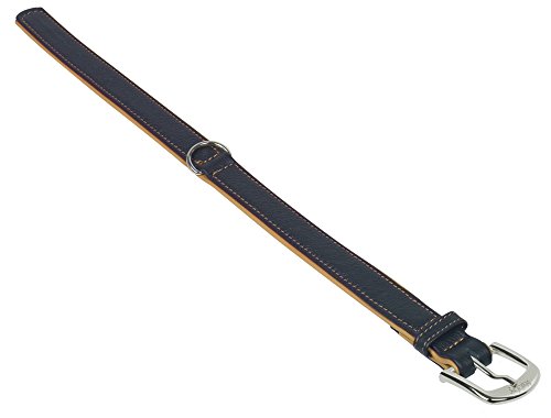 Nobby Halsband PACIFIC, orange 60 cm (50-58 cm), 28/32 mm, 1 Stück von Nobby