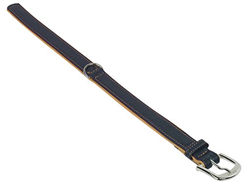 Nobby Halsband PACIFIC, orange 42 cm (33-39 cm), 19/21 mm, 1 Stück von Nobby