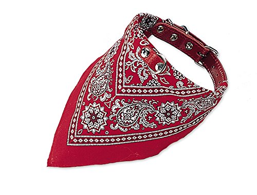 Nobby Halsband mit Tuch, rot L: 70 cm, 1 Stück von Nobby