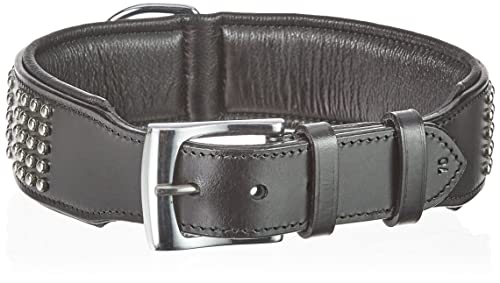 Nobby Leder Halsband VINTO, schwarz 70 cm (63-68 cm), 50 mm, 1 Stück von Nobby