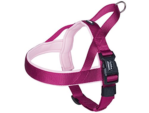 Nobby Norwegergeschirr Classic Preno, himbeere / pink L: 60-76 cm + 46 cm, B: 25/35 mm, 1 Stück von Nobby