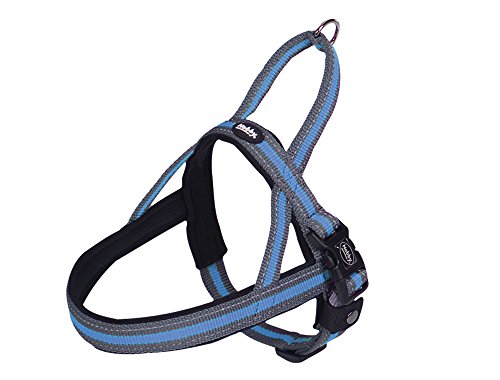 Nobby Norwegergeschirr Variado, hellblau B: 40/45mm, L: 54cm + 68-85cm, 1 Stück von Nobby