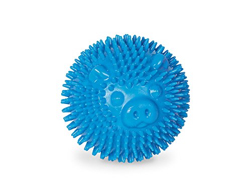 Nobby TPR Noppen Ball Pig, blau 6,5 cm, 1 Stück von Nobby
