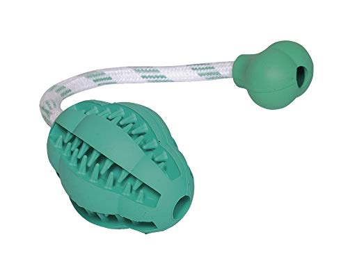 Nobby Vollgummi Jumper DENTAL LINE mit Seil Spielzeug: 8 cm, Spielzeug mit Seil: 27 cm von Nobby