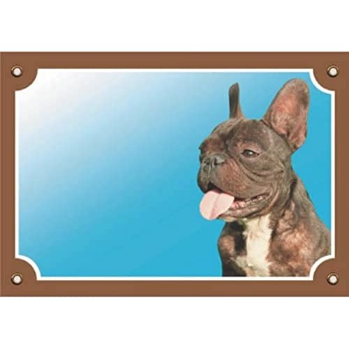 Nobby Warntafel Französische Bulldogge gelb 12 x 3,5 cm von Nobby