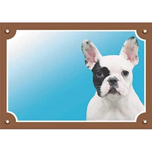 Nobby Warntafel Französische Bulldogge gelb 12 x 3,5 cm von Nobby