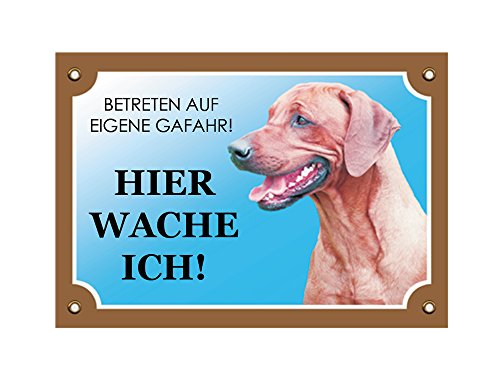 Nobby Warntafel Rhodesian Ridgeback gelb 12 x 3,5 cm von Nobby