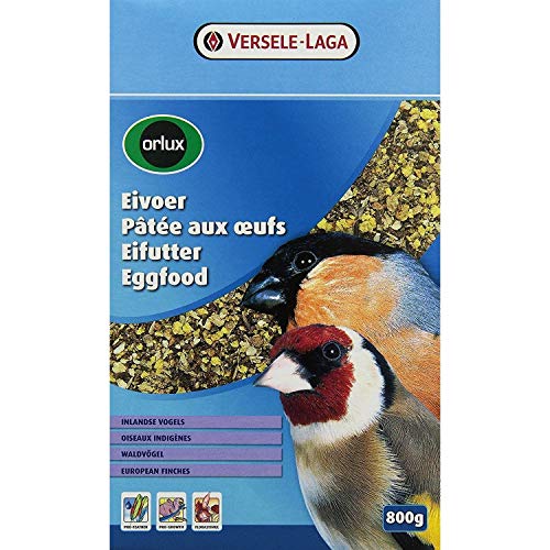 Orlux Eifutter Waldvögel von Versele-Laga