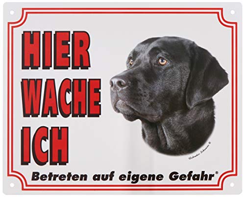 Warntafel Labrador dunkel gelb 12 x 3,5 cm von Nobby