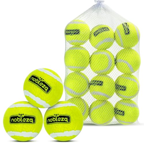 Nobelza Hundeball, 12 Stück Hundespielzeug Ball, Bouncy und Durable Hundespielzeug Tennisbälle mit Mesh Tragetasche für Aggressive Kauer Kleine Mittelgroße Große Hunde, Ø 6,35cm von Nobleza