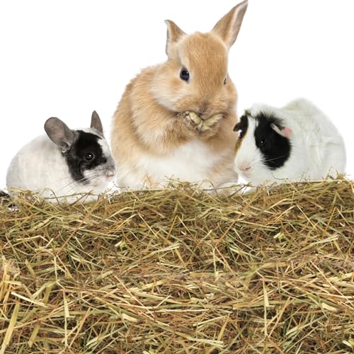 Nobleza - (4 * 1kg Kaninchen Wiesenhe, Hauptfutter für Hasen mit Gemüse, Natürliches Nagerfutterlebenswichtigen, Futter für Meerschweinchen, Vitaminen und Mineralien von Nobleza