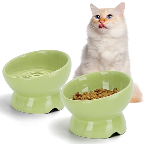 Nobleza - 2 Stück Katzennapf， Keramik Futternapf Katze mit 15°Neigung Design， Anti-Erbrechen Katzennäpfe， Katzenfutternapf für Futter und Wasser， perfekt für Katzen und kleine Hunde，Grün von Nobleza