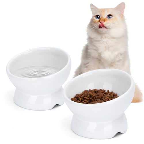 Nobleza - 2 Stück Katzennapf， Keramik Futternapf Katze mit 15°Neigung Design， Anti-Erbrechen Katzennäpfe， Katzenfutternapf für Futter und Wasser， perfekt für Katzen und kleine Hunde，Weiß von Nobleza