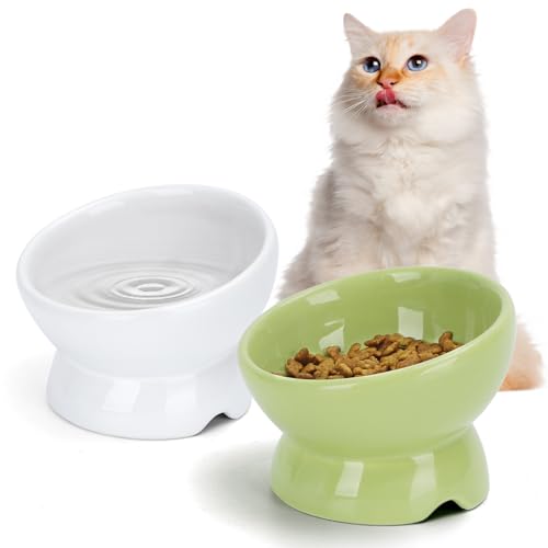 Nobleza - 2 Stück Katzennapf， Keramik Futternapf Katze mit 15°Neigung Design， Anti-Erbrechen Katzennäpfe， Katzenfutternapf für Futter und Wasser， perfekt für Katzen und kleine Hunde (Weiß & Grün) von Nobleza