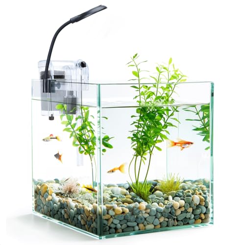 Nobleza - 27L Mini Aquarium Komplettset, Nano Aquarium Stabiles Einsteigerbecken mit LED-Beleuchtung und Eingebautem Filtersystem von Nobleza