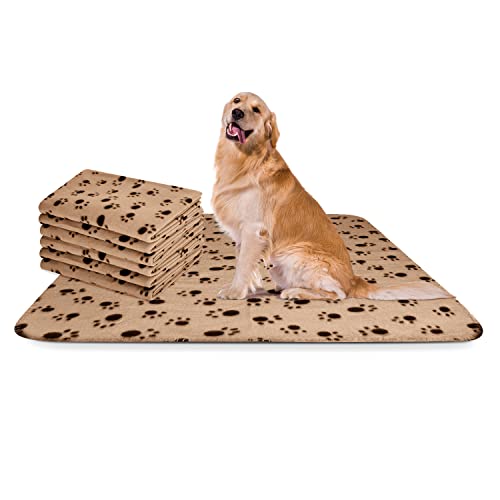 Nobleza - 6 x Hundedecke Weiche Fleecedecke Waschbare Deck für Haustier Hunde Katzen Welpen Weiche Warme Matte, Beige, 120 * 100 cm von Nobleza