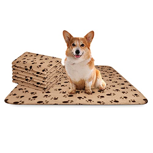 Nobleza - 6 x Hundedecke Weiche Fleecedecke Waschbare Deck für Haustier Hunde Katzen Welpen Weiche Warme Matte, Beige, 75 * 75cm von Nobleza