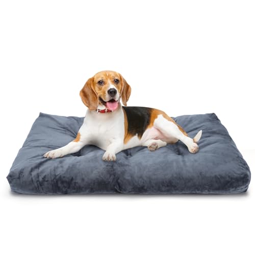 Nobleza Hundekissen Mittelgroße Hunde, Hundebett Waschbar, Hunde Bett Plüsch, Weiche und Flauschig, Hundematte mit rutschfeste Unterseite, Haustierbett Hundematratze Dunkelgrau, 80x50cm von Nobleza