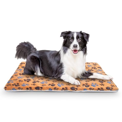 Nobleza Hundematte, Matte für Hunde und Katzen, Großes Hundekissen, Waschbar Flanell Haustiermatratze, Superweicher Hundematratze, Wendbarer Hundebett Decke, Welpenbett, 100 * 75CM von Nobleza