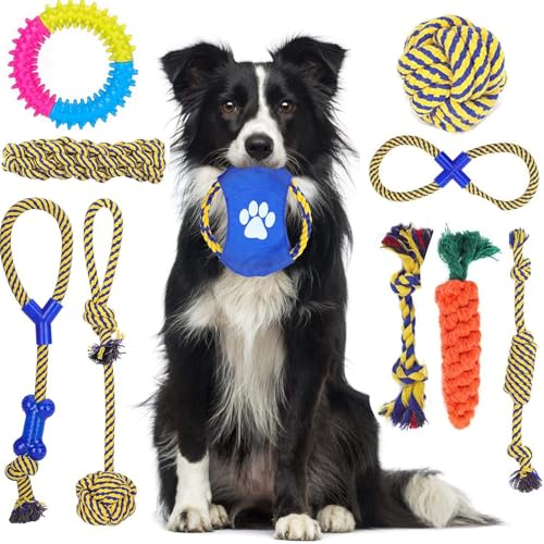 Nobleza Hundespielzeug 10pcs, Welpen Spielzeug Zubehör Seil Set, Unzerstörbar Kauspielzeug für Welpen, Interaktive Spielzeug für kleine Hunde und Mittelgroße Hunde, 100% natürliche Baumwolle von Nobleza