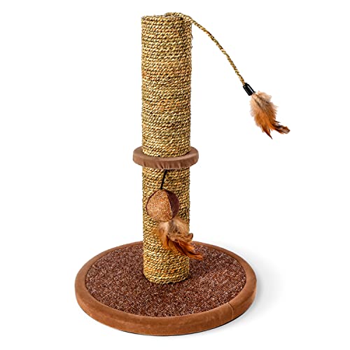 Nobleza Katzenbaum mit Pfosten-Sisal-Kratze Kätzchen Spielturm mit Hängespielzeug Kleine Katze Kletteraktivitätszentrum, Braun, 30 * 30 * 44cm von Nobleza