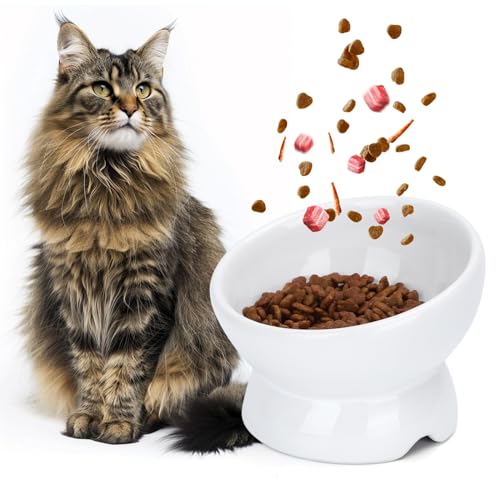 Nobleza - Katzennapf, Keramik Futternapf Katze mit 15°Neigung Design, Anti-Erbrechen Katzennäpfe, Katzenfutternapf für Futter und Wasser, perfekt für Katzen und kleine Hunde,Weiß von Nobleza