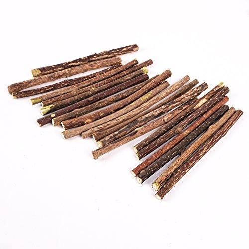 Katzenminze-Sticks 20 Stück Katzenkaustäbchen Zahnreinigung für Katzen Reines Naturholz Polygonum Sticks Dental-Leckerlies Molar Kauspielzeug von Nobranded