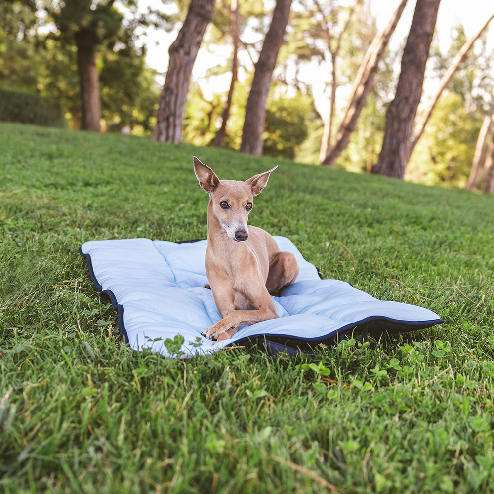 Nomad Tales Spirit Reise-Kühlmatte - L 90 x B 60 cm Nomad Tales Spirit Reise-Kühlmatte - L 90 x B 60 cm von Nomad Tales